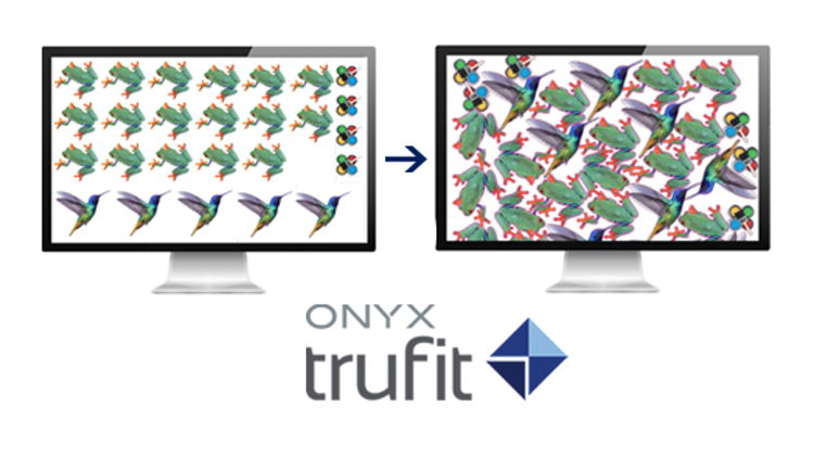 Onyx Graphics, Inc. announces global launch of ONYX TruFit software.